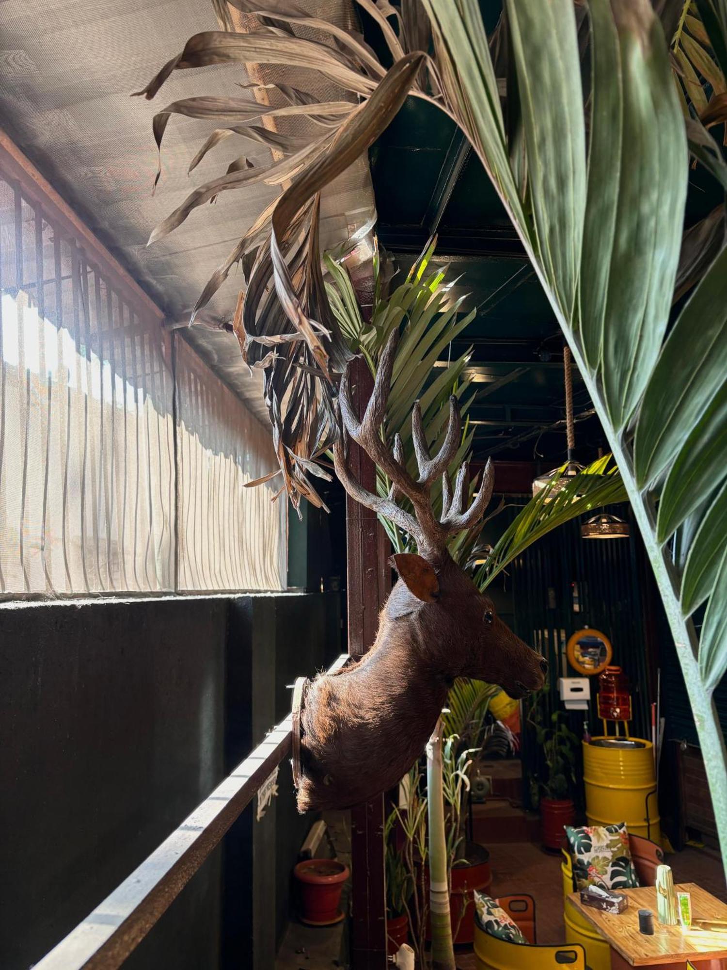 Forrest Hostels Mumbai Kültér fotó